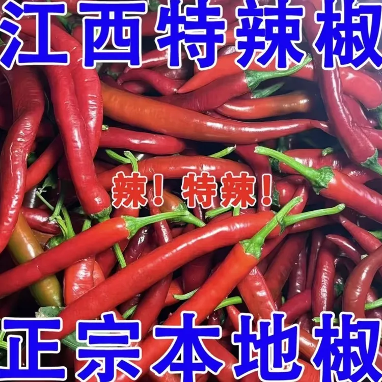 正宗（红辣椒）露天辣椒，没打过任何药