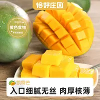 【恰好庄园】四川攀枝花凯特芒果5斤/8斤新鲜特大水果应季整箱包邮