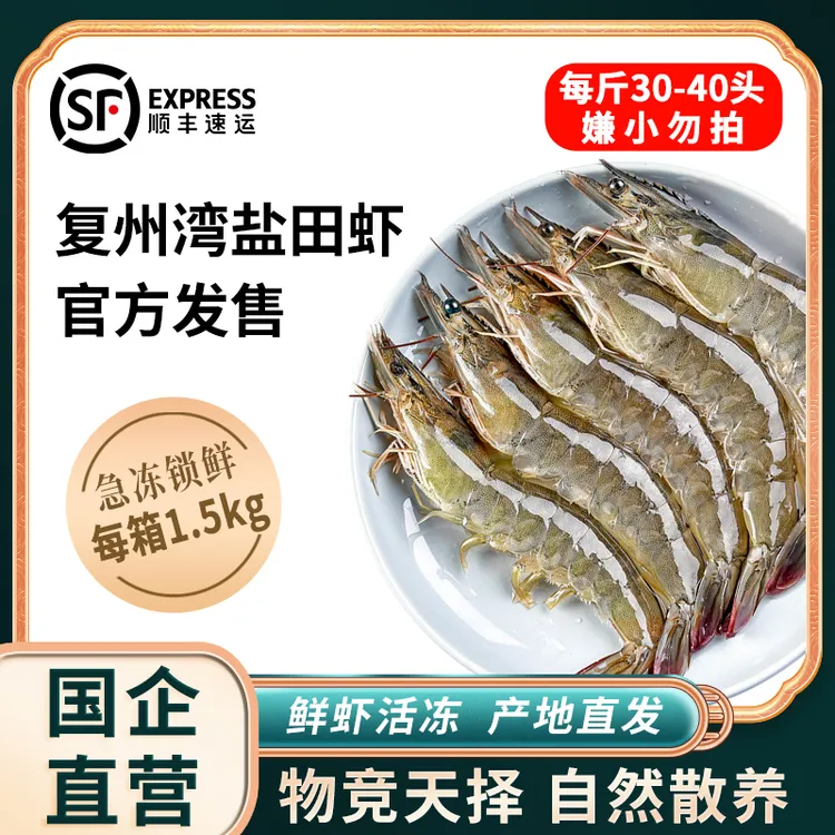 【大连盐业活虾速冻】复州湾盐田虾每斤30-40只 有大有小介意勿拍