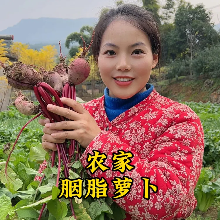农家红皮红心新鲜胭脂萝卜可作泡菜萝卜干烤苕皮炒菜凉拌蔬菜