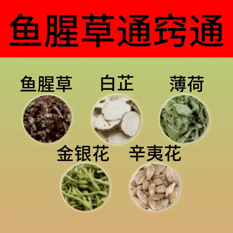鱼腥草白芷薄荷辛夷花金银花组合中药材鱼腥草汤原料代客分小包