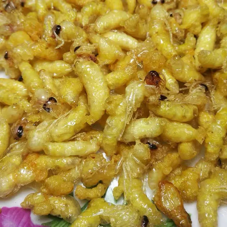1 2级精品油炸树蜂蜂蛹