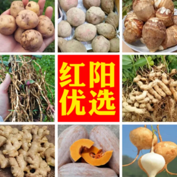 红阳优选农村赶集农产品专拍