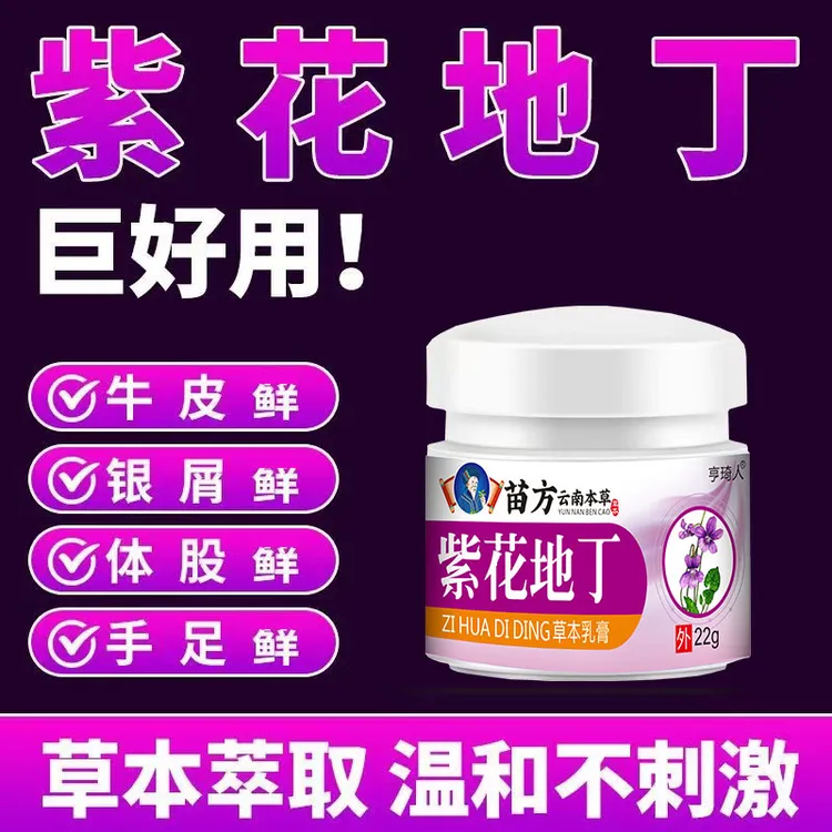 【紫花地丁】全身/牛/皮/银/屑/藓/头/藓/体/藓皮焱湿诊老牌子止痒