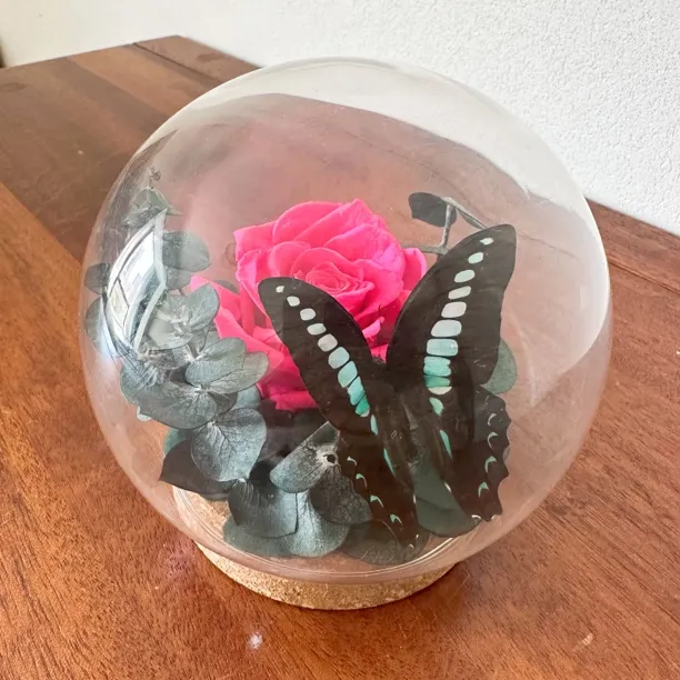 领养一只蝶,永生玫瑰蝴蝶标本手工生态微景观生日礼物摆件玻璃罩