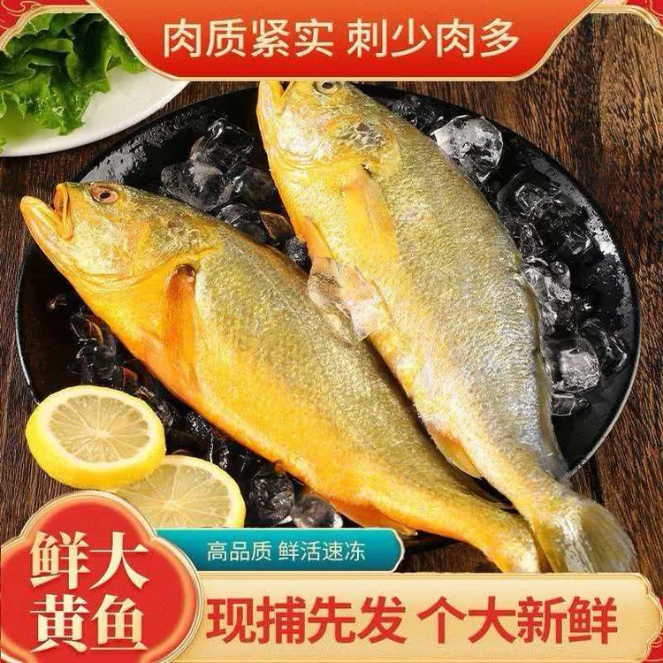 野生大黄鱼冷冻黄花鱼深海黄花鱼海鲜水产黄花鱼9两左右/条