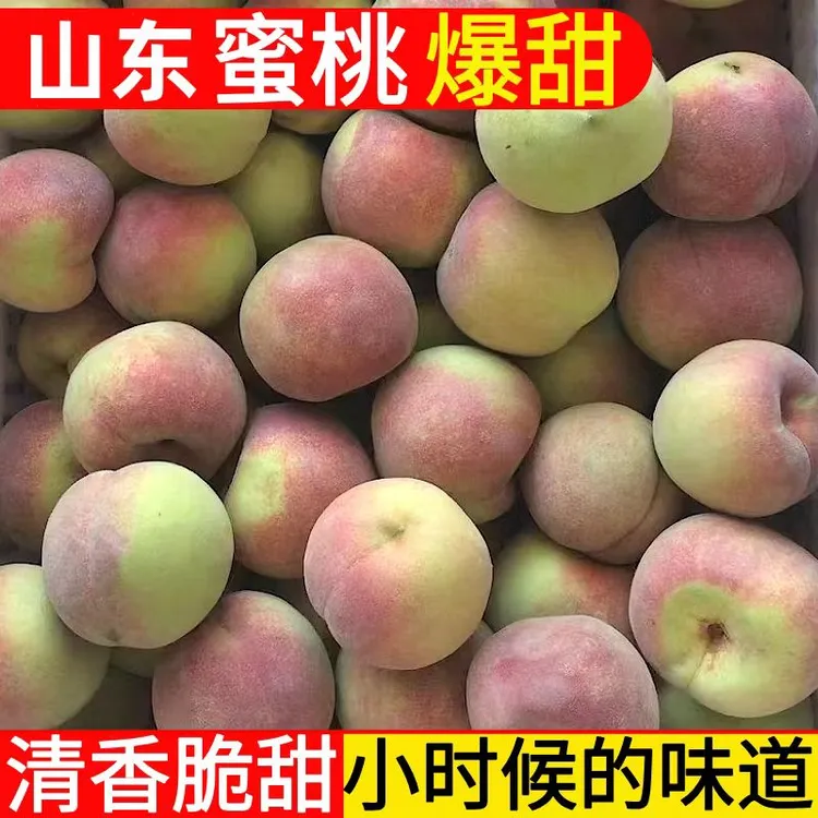 蜜桃高山冬桃桃子硬桃青州蜜桃新鲜现摘脆甜水果非水蜜桃5斤3斤装