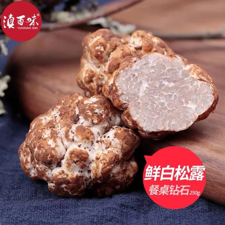 【白松露】新鲜白松露云南特产非意大利可炸松露油白块菌蘑菇250g