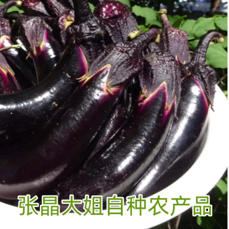 东北农家茄子嫩茄子新鲜蔬菜农家菜茄子