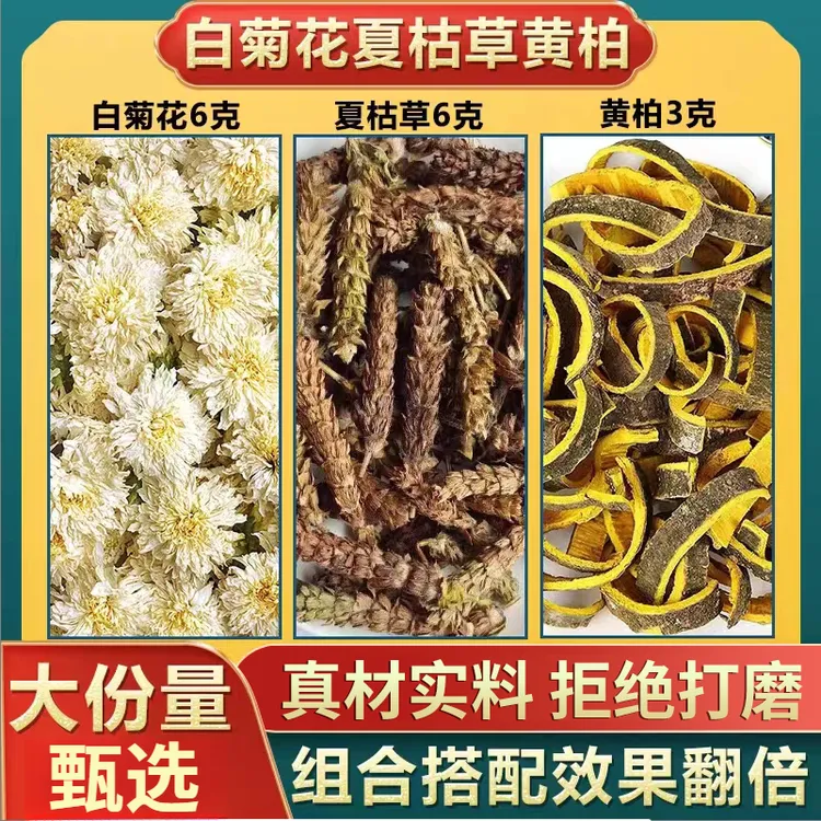 白菊花6克夏枯草6克黄柏3克代茶饮原料白菊花夏枯草黄柏代茶饮姜