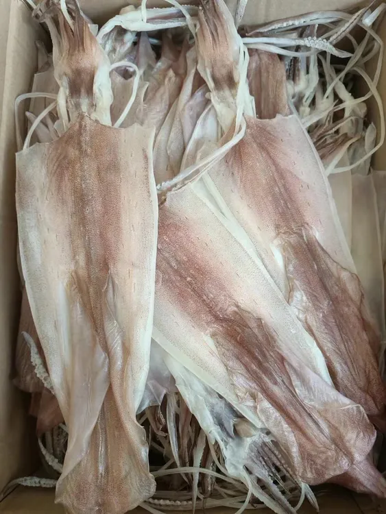 鱿鱼/鱿鱼干-天然自晒海鲜干货7分干度，一斤7-8个装