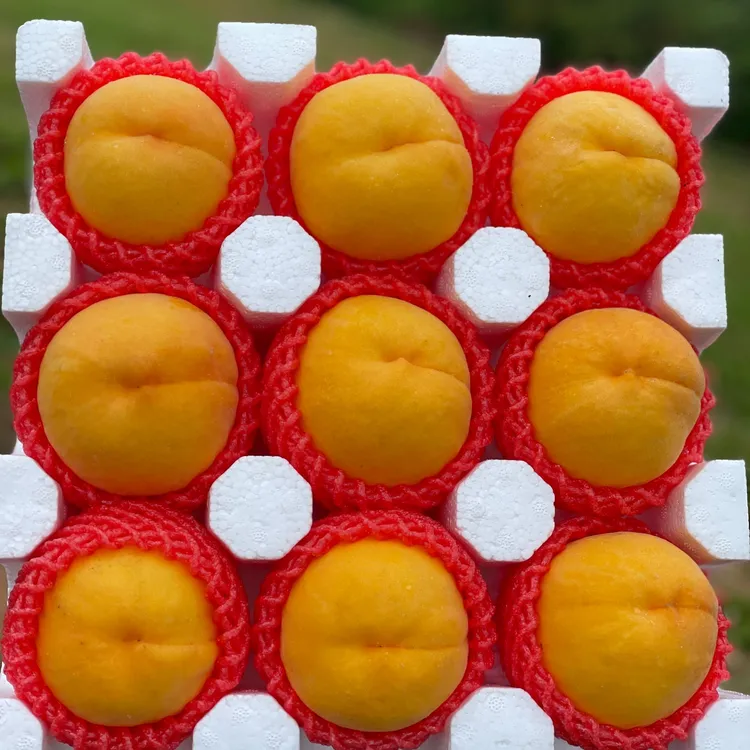 【精品黄桃】黄桃正宗山东蒙阴蜜桃黄毛桃果园直发2斤/4.5斤