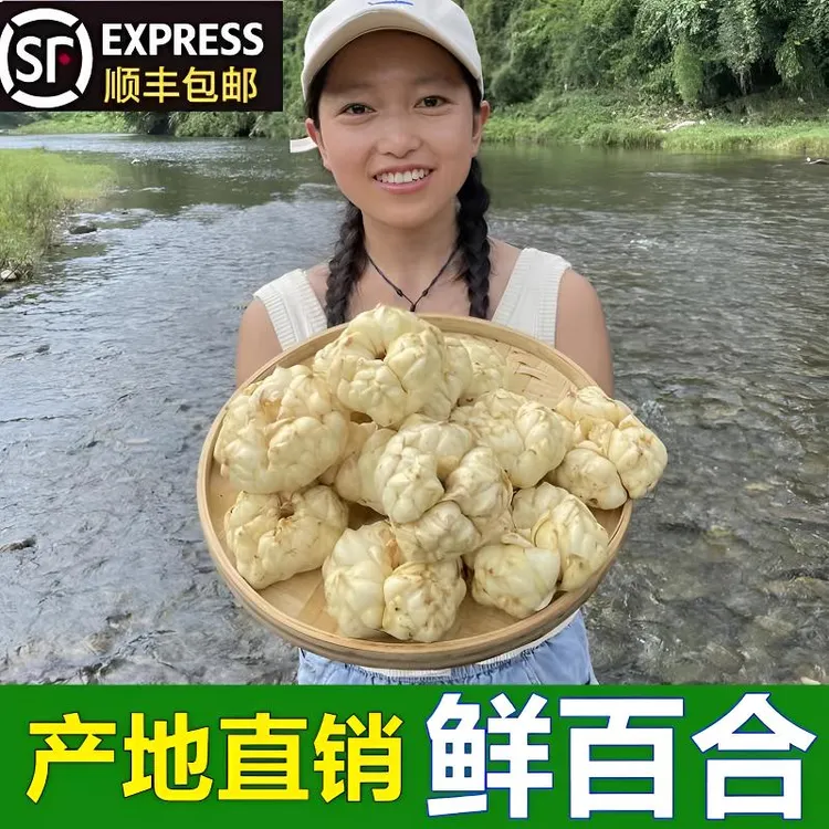湘小暖精选现挖新鲜百合食用鲜百合农家特产煲粥煲汤推荐顺丰包邮