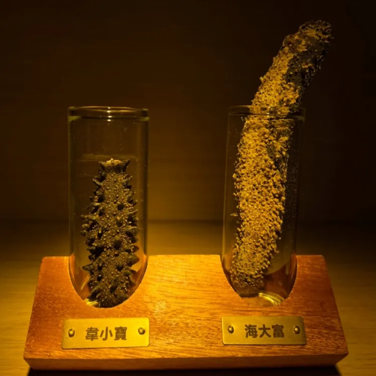 文玩 可盘 韦小宝贝