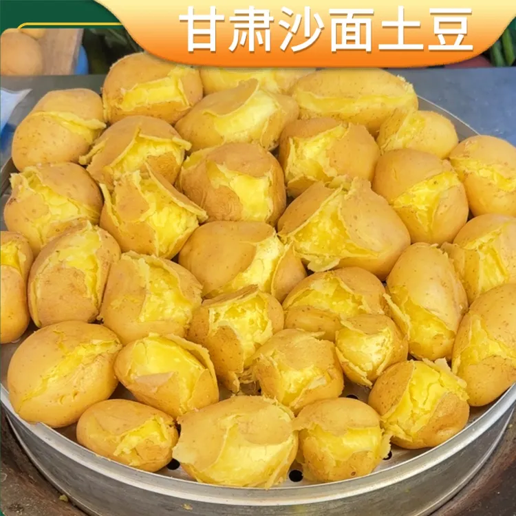 2025新鲜现挖甘肃沙面土豆黄心土豆蔬菜皮薄粉面好吃