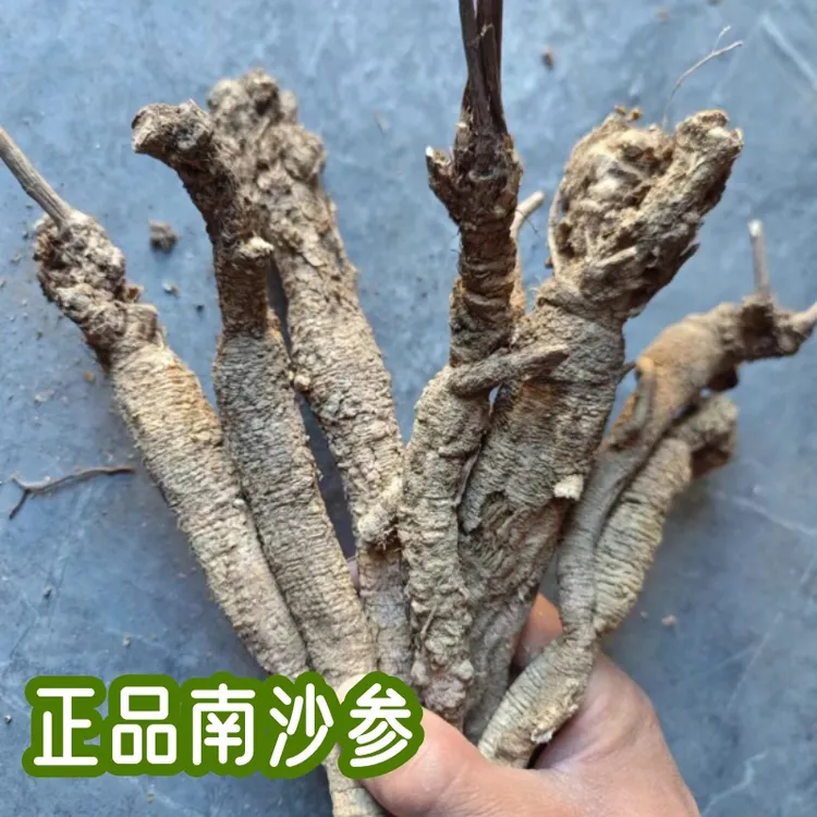 甘肃野生【南沙参】无硫新货500克包邮