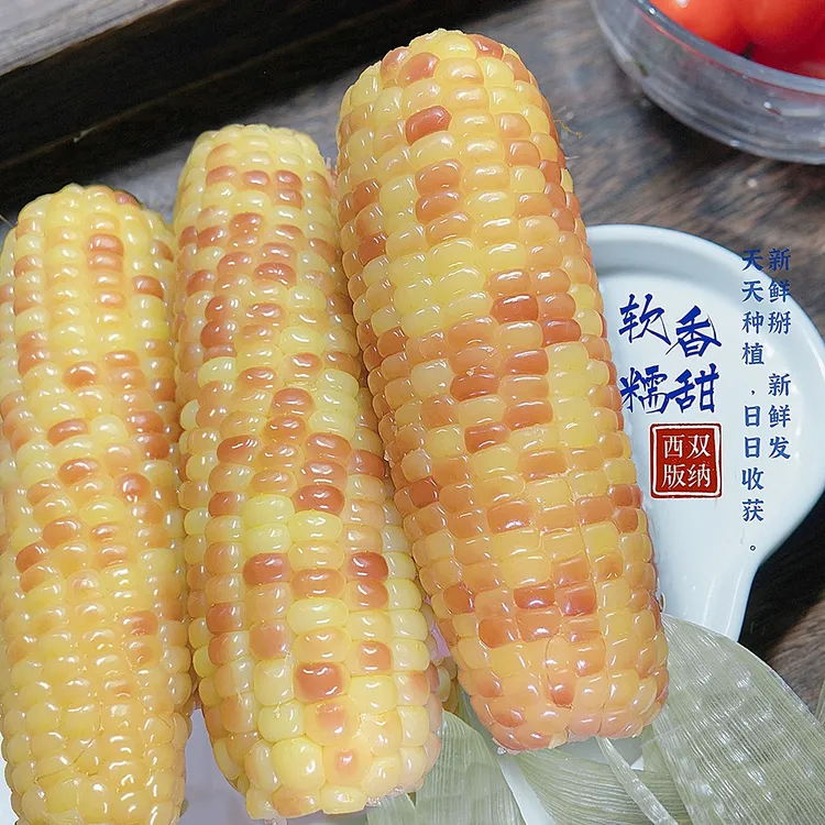 云南西双版纳香糥花糯玉米新鲜甜糯玉米真空香糯小玉米糯玉米轻食