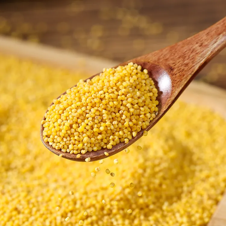 【新米】正宗米脂油小米香小米 袋装米油丰厚 健康营养月子米