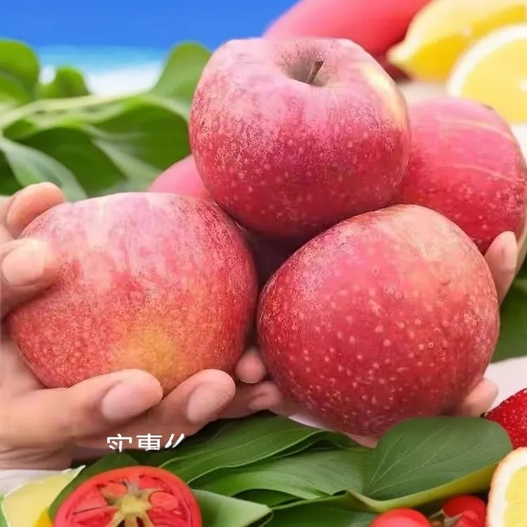 云南昭通正宗冰糖心苹果新鲜应当季水果现摘红富士萍果整箱11