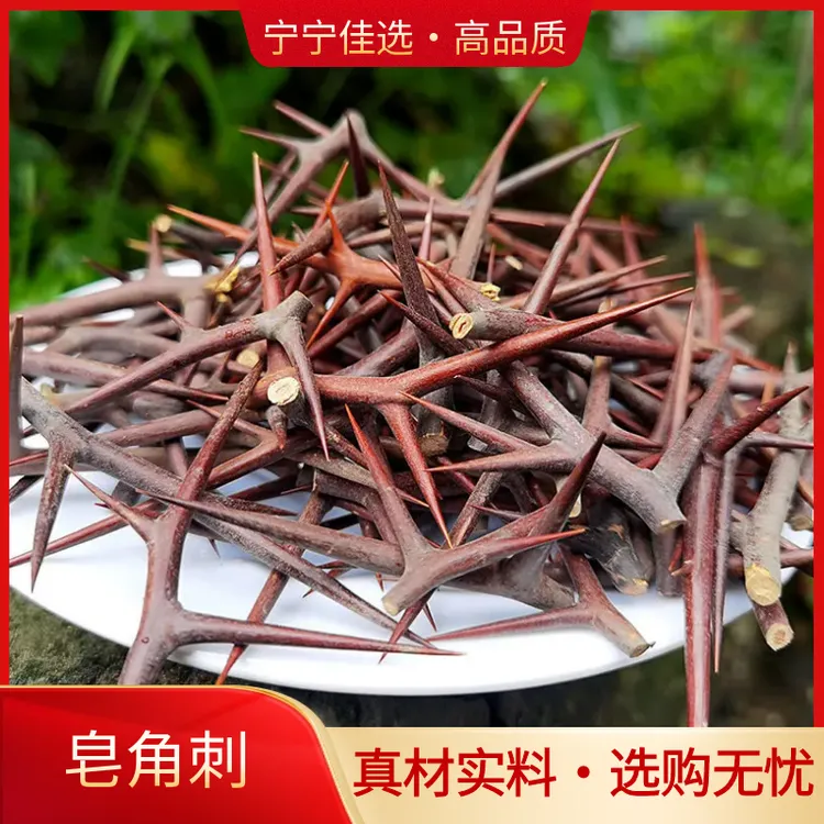 皂角刺正宗野生皂角针皂荚刺天丁皂针大皂刺精选正品干货非皂角米