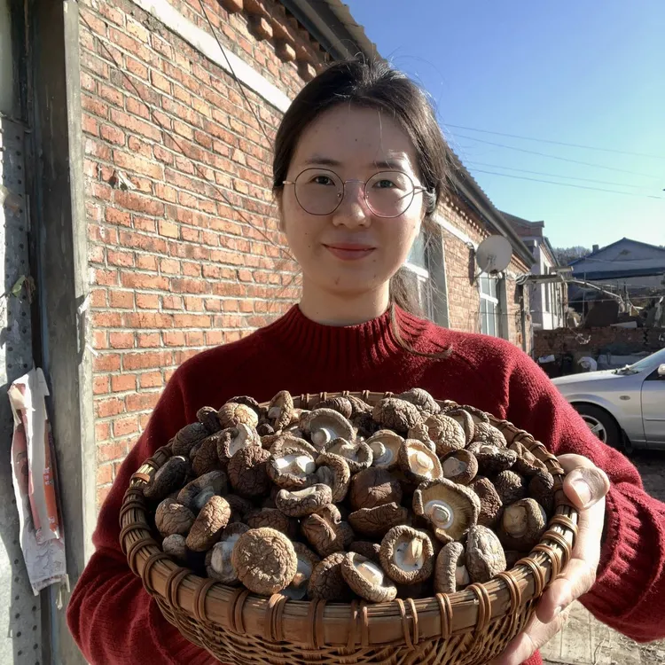 林区胡杨｜东北香菇肉厚好吃可香了呢250g500g香菇干货