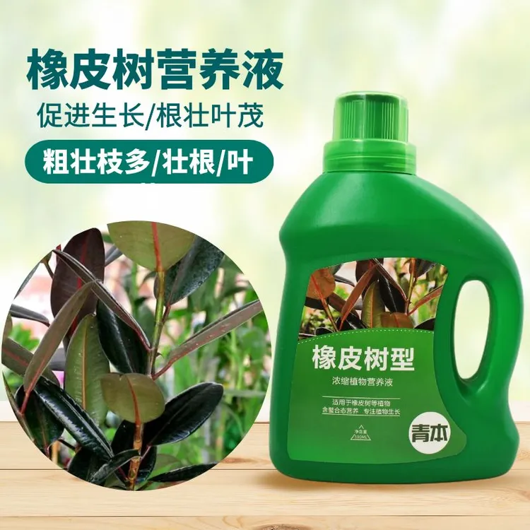 橡皮树适用营养液室内花卉绿植通用型花肥预防黄叶促生长专用肥料