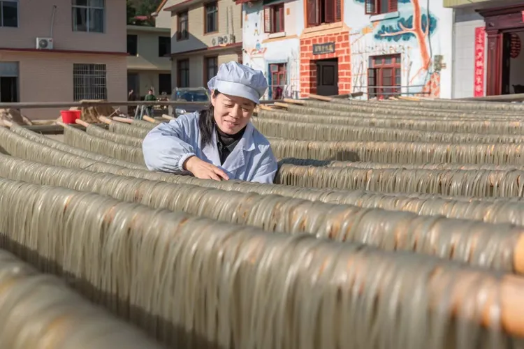 萍乡农产品纯红薯粉丝粉皮薯角子零添加500g火锅麻辣炒菜皆可