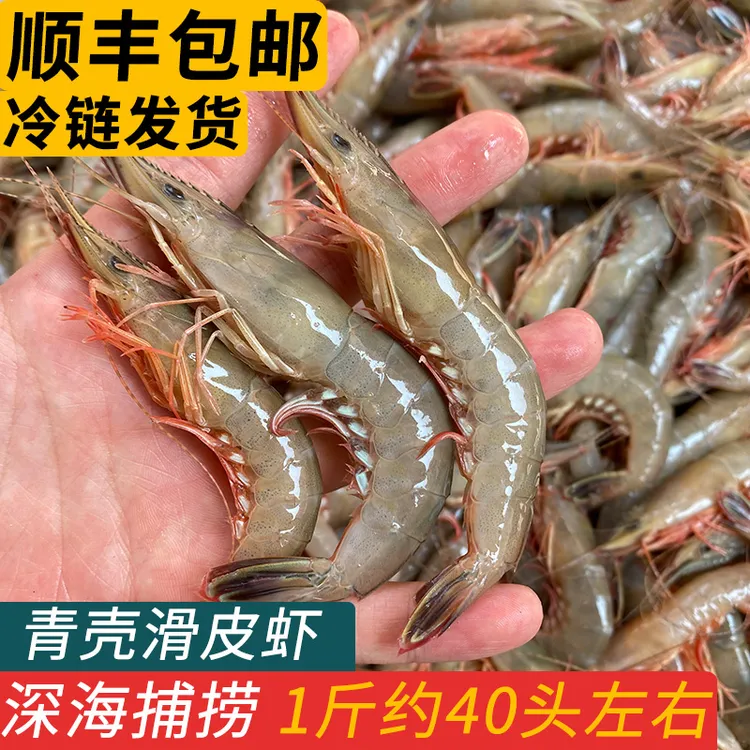 舟山特产青壳滑皮虾鲜活冷冻海捕活皮虾大条海虾海鲜小海捕虾商用