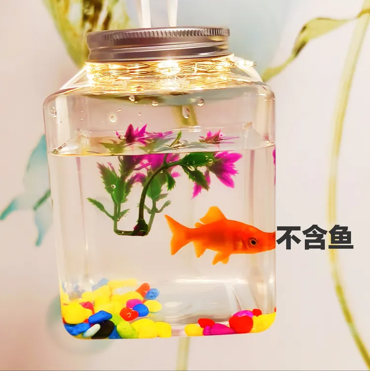 网红罐罐鱼儿童手提鱼缸发光夜市七彩全套斗鱼罐创意生态微景水