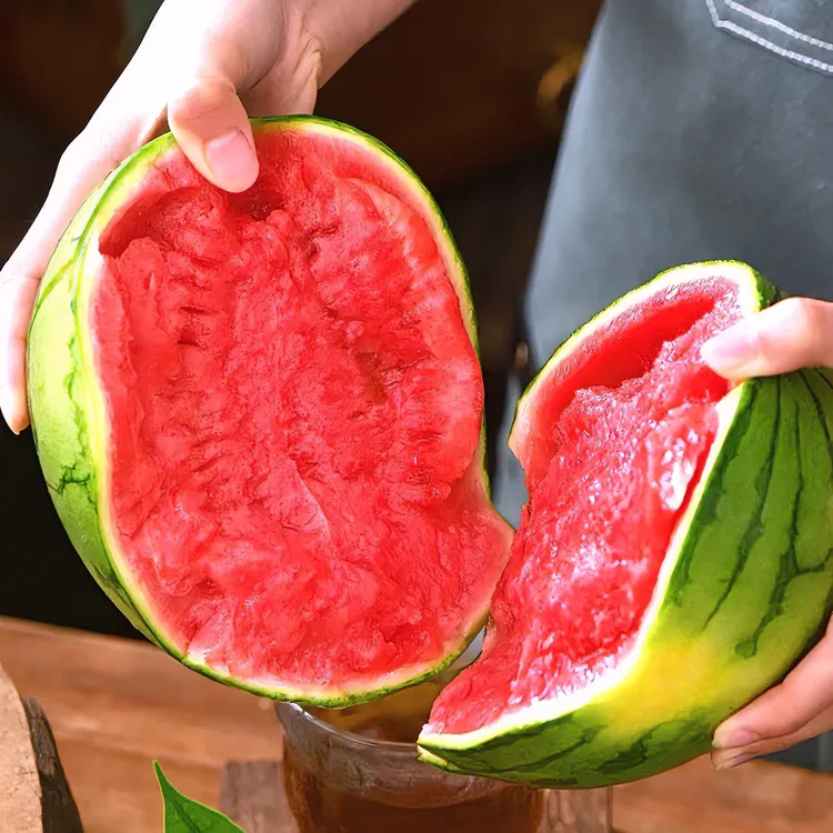 盆栽小西瓜种子红玉西瓜种籽麒麟西瓜阳台庭院均可种植绿皮红壤z