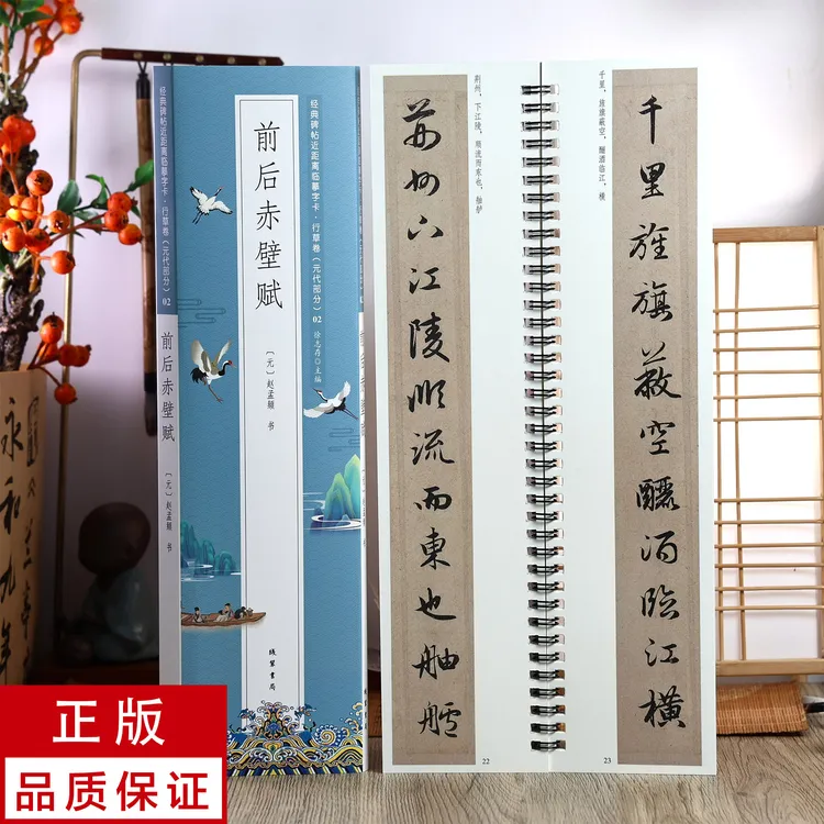 赵孟頫行书前后赤壁赋 静文轩近距离临摹字帖