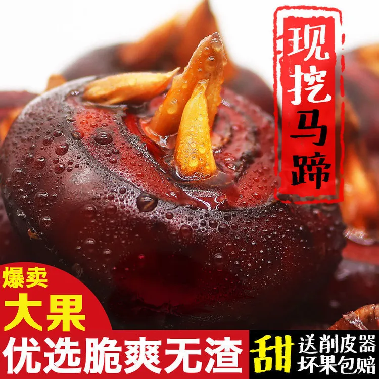 湖北特产马蹄荸荠新鲜现挖混装大果地栗农家自种果蔬带泥3/5斤