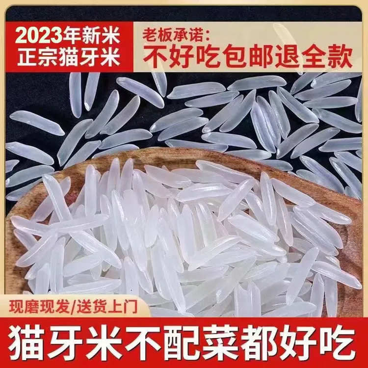 广西大米正宗猫牙米精品长粒猫牙香米优质大米长粒香米新米软糯