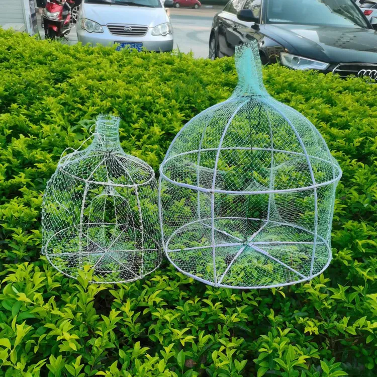 (52)铁圆笼50x50、抓腊鱼 泥猛鱼 虾