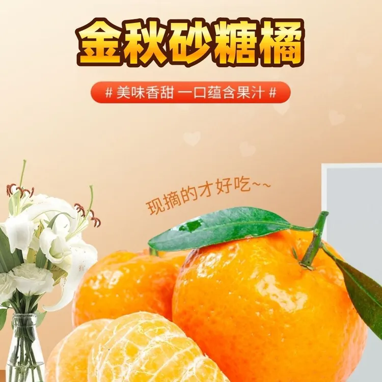【果园直发】广西金秋砂糖橘当季新鲜水果薄皮沙糖桔子蜜桔蜜橘子