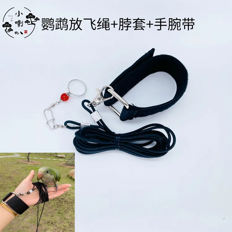 鹦鹉超轻放飞绳弹力绳玄凤小太阳牡丹和尚户外放飞鹦鹉脚链脚环