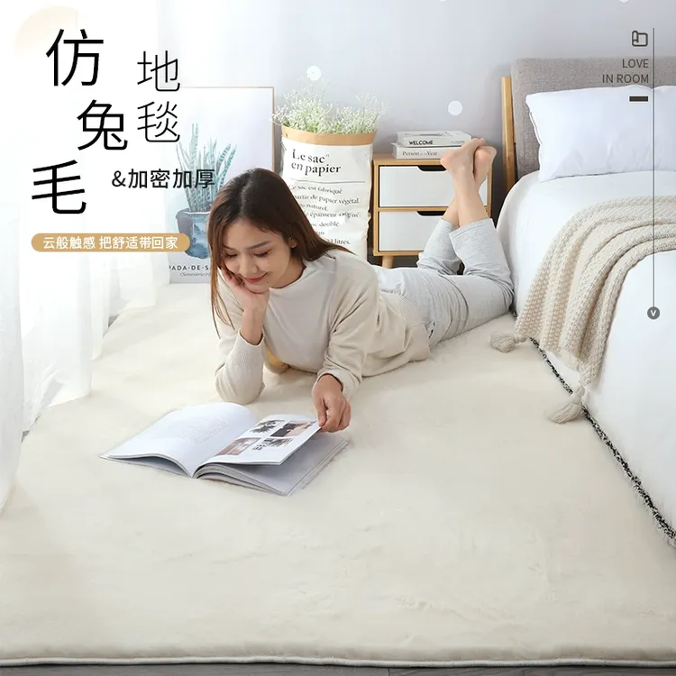 加厚地毯客厅卧室床边满铺大面积毛绒榻榻米飘窗垫简约网红防滑
