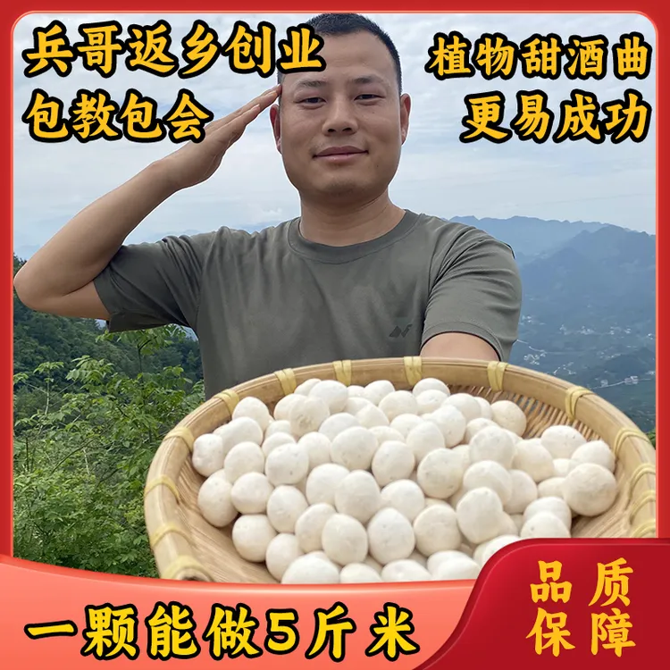 醇香甜酒曲米酒曲醪糟酒酿家用酵母曲子月子酒简单新手发酵曲香甜