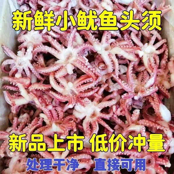 小鱿鱼须新鲜冷冻三去鱿鱼头小八爪须净重无冰衣烧烤炒菜火锅食材