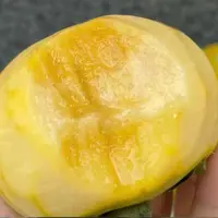 【蓝鲸小掌柜】十秋之辉云南大秋脆柿脆嫩甜一箱10个3-3.5斤