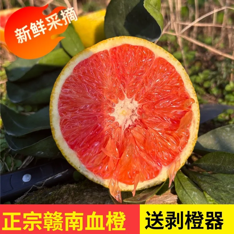 江西赣南血橙香甜多汁新鲜水果中华红橙红心红肉橙产地直发送礼品