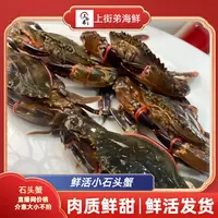 【天然石头蟹】石鲟上街弟推荐本港螃蟹肉质鲜甜单只50g以上