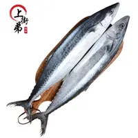 【马鲛鱼】上街弟推荐新鲜海捕马鲛鱼包鲜到家 福州发货深海捕捞