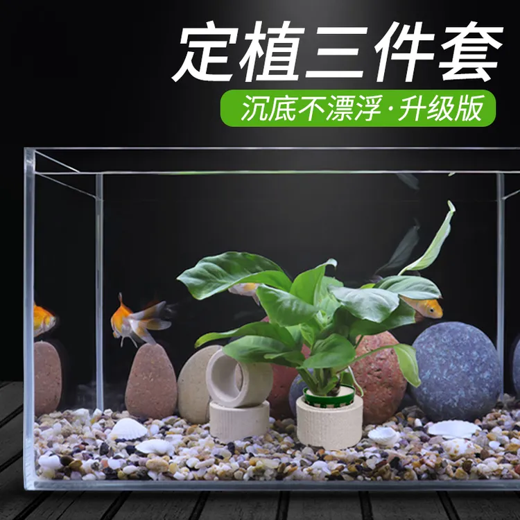 【奇妙妙】水草固定环定植三件套陶瓷环定植棉装饰定植环鱼缸沉环