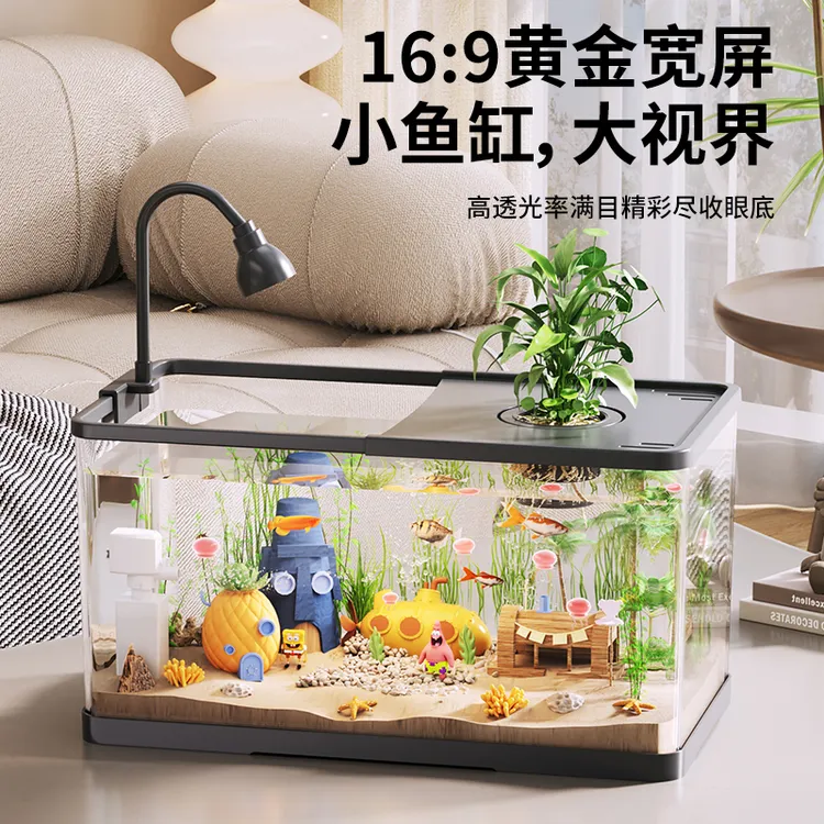 阔庭鱼缸客厅2025新款家用小型桌面生态鱼缸过滤制氧办公室卧室