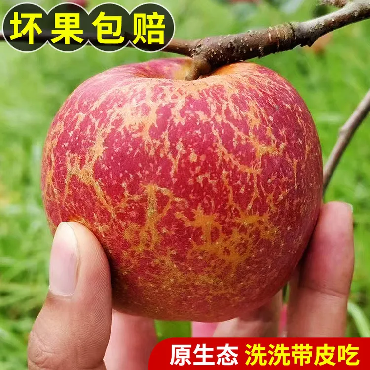 ［当季鲜果］云南昭通正宗冰糖心丑苹果整箱包邮脆甜多汁5斤9斤