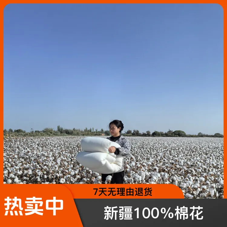 新疆100％棉花被棉絮床垫被子手工被冬被加厚学生棉被芯棉胎褥子