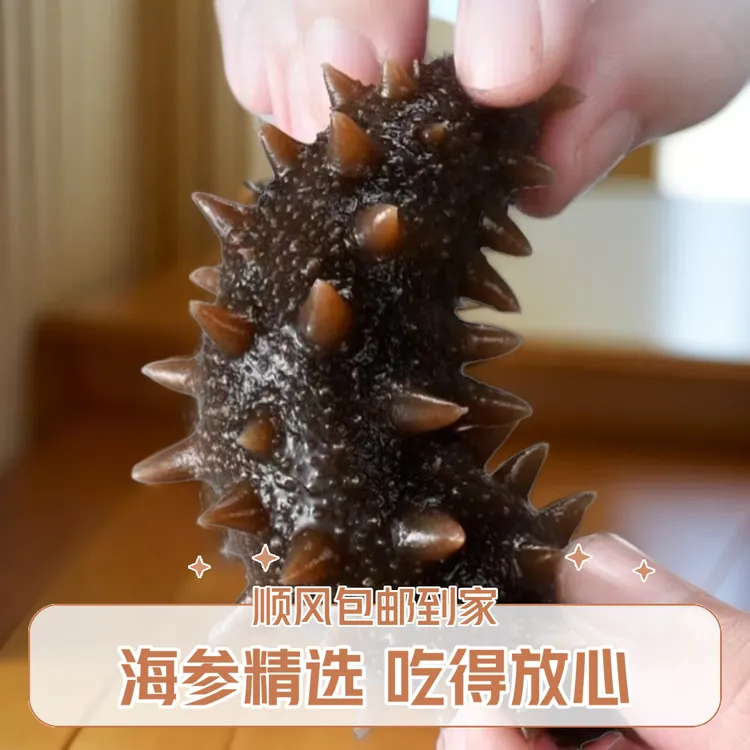 青岛海参开袋即食30~40只左右（活参加工  顺丰包邮）加两只试吃