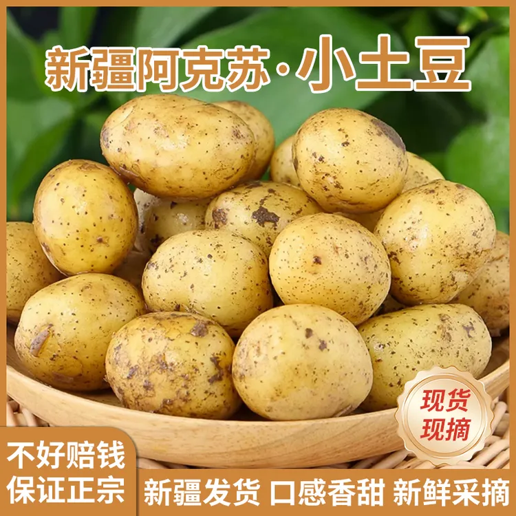 新疆优质小新疆本地水果饱满甜小黄心土豆蔬菜当季新鲜蔬菜