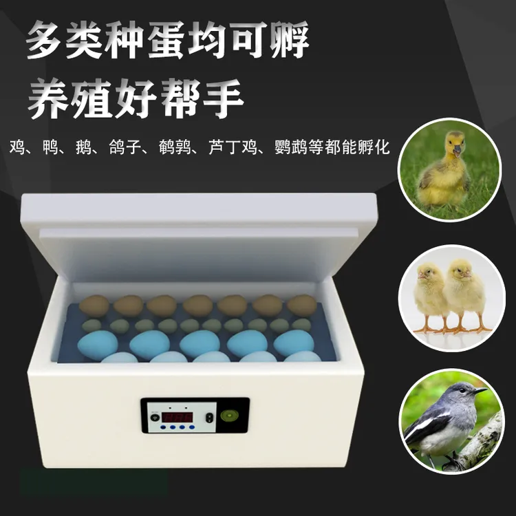孵化器小型家用智能水床小鸡孵化机孵小鸡的机器鸡鸭鹅水床孵蛋器